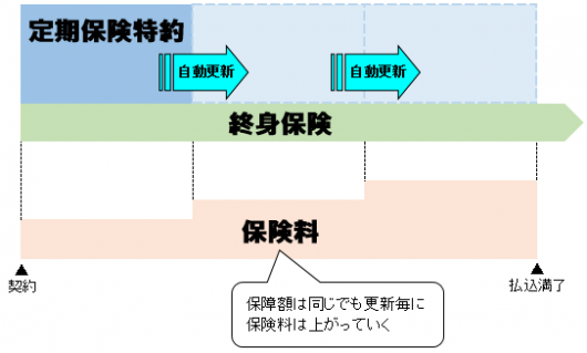 定期保険特約付終身保険の自動更新イメージ図