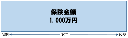 保険期間30年の定期保険（保険金額1,000万円）