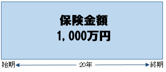 保険期間20年の定期保険（保険金額1,000万円）