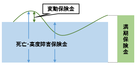 変額保険（有期型）満期保険金が基本保険金を上回った場合