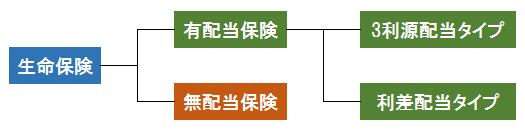 有配当保険と無配当保険