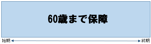 定期保険（歳満期）